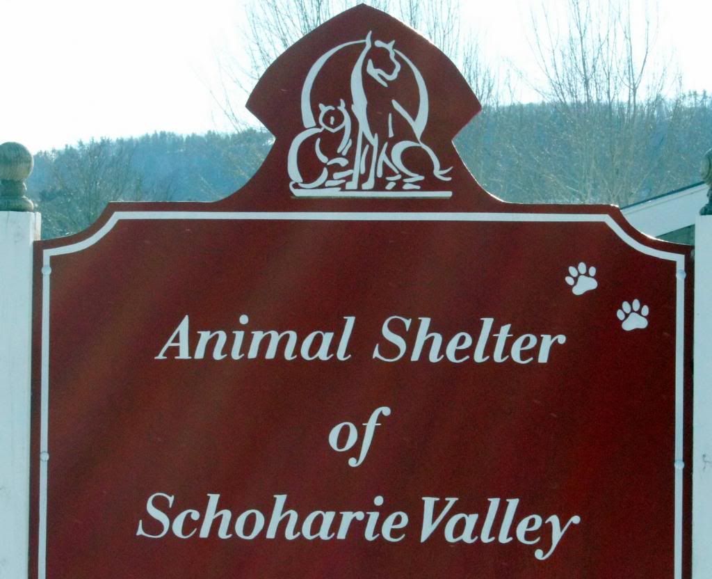 Sponsor a Room in ASSV’s New Building Animal Shelter of Schoharie Valley